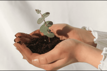 Bí quyết chọn đá phong thủy cho mệnh Thổ Bí quyết chọn đá phong thủy cho mệnh Thổ