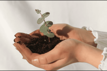 Bí quyết chọn đá phong thủy cho mệnh Thổ Bí quyết chọn đá phong thủy cho mệnh Thổ