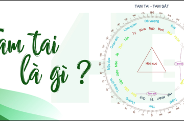 Những con giáp phạm tam tai năm 2024 và cách hóa giải Những con giáp phạm tam tai năm 2024 và cách hóa giải