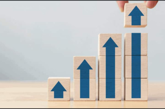 Năm Giáp Thìn 2024 Có Tốt Không, Kinh Doanh Gì Để Sinh Lời? Năm Giáp Thìn 2024 Có Tốt Không, Kinh Doanh Gì Để Sinh Lời?