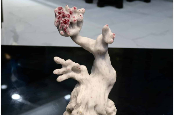 Mẫu đá quý nguyên khối dành cho những nhà thích sưu tầm đá quý Mẫu đá quý nguyên khối dành cho những nhà thích sưu tầm đá quý