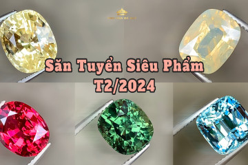 Săn Tuyển đá quý tuyển chọn chất lượng cao tháng 2/2024