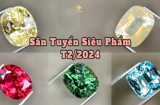 Săn Tuyển đá quý tuyển chọn chất lượng cao tháng 2/2024 Săn Tuyển đá quý tuyển chọn chất lượng cao tháng 2/2024