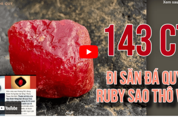 Khám Phá Vùng Mỏ Ruby Sao Thô 143ct Cùng 2 Cố Vấn IRUBY Khám Phá Vùng Mỏ Ruby Sao Thô 143ct Cùng 2 Cố Vấn IRUBY