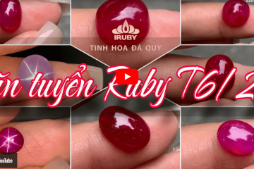 Khám Phá Tuyển Tập Đá Ruby Lục Yên Đẹp Nhất Tháng 6/2024 – IRUBY Khám Phá Tuyển Tập Đá Ruby Lục Yên Đẹp Nhất Tháng 6/2024 – IRUBY
