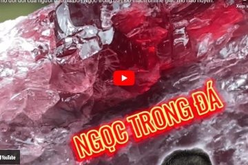 Bộ Trang Sức Ruby Huyết Kính Kết Kim Cương 4 Ly: Biểu Tượng Của Sang Trọng, Tinh tế Bộ Trang Sức Ruby Huyết Kính Kết Kim Cương 4 Ly: Biểu Tượng Của Sang Trọng, Tinh tế