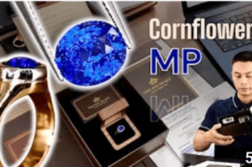 Khám phá vẻ đẹp huyền bí và lộng lẫy của chiếc nhẫn sapphire blue Cornflower Khám phá vẻ đẹp huyền bí và lộng lẫy của chiếc nhẫn sapphire blue Cornflower
