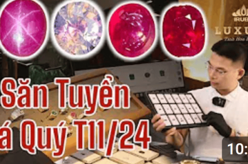 Chinh Phục Đá Quý Tuyển Chọn Đẹp & Chất Lương Cao Tháng 11/2024 cùng #iRuby Chinh Phục Đá Quý Tuyển Chọn Đẹp & Chất Lương Cao Tháng 11/2024 cùng #iRuby