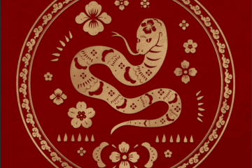 Nhẫn nữ ruby Hồng kim cương – Món quà a Phúc Bắc Ninh tặng sinh nhật Vợ Nhẫn nữ ruby Hồng kim cương – Món quà a Phúc Bắc Ninh tặng sinh nhật Vợ