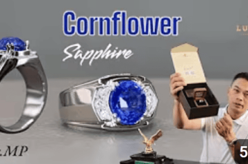 Nhẫn Sapphire Xanh Lam Cornflower Phiên Bản Đặc Biệt (Hơn 7 Chỉ) – Mr. MP Hà Đông Nhẫn Sapphire Xanh Lam Cornflower Phiên Bản Đặc Biệt (Hơn 7 Chỉ) – Mr. MP Hà Đông
