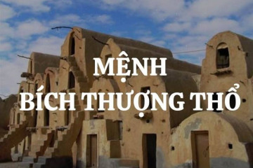Dương Liễu Mộc sinh năm nào, hợp mệnh gì? Tiết lộ chấn động về tính cách và màu sắc phong thủy phù hợp Dương Liễu Mộc sinh năm nào, hợp mệnh gì? Tiết lộ chấn động về tính cách và màu sắc phong thủy phù hợp