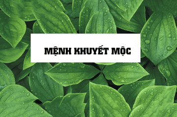 Mệnh khuyết Mộc là gì? Cách ứng dụng phong thủy hiệu quả để cải vận cho người khuyết Mộc Mệnh khuyết Mộc là gì? Cách ứng dụng phong thủy hiệu quả để cải vận cho người khuyết Mộc