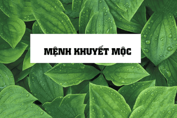 Đặt tên mệnh Thổ: Hướng dẫn chọn tên phong thủy vững chắc cho bé trai và bé gái Đặt tên mệnh Thổ: Hướng dẫn chọn tên phong thủy vững chắc cho bé trai và bé gái