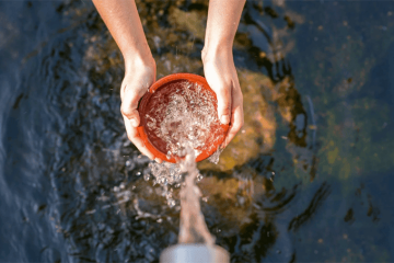 Trực thái tuế là gì: 5 dấu hiệu nhận biết và cách hóa giải hiệu quả năm 2025 Trực thái tuế là gì: 5 dấu hiệu nhận biết và cách hóa giải hiệu quả năm 2025