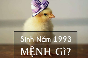Tổng quan người mệnh Kim 1993: Hướng dẫn phong thủy giúp bình an và thịnh vượng Tổng quan người mệnh Kim 1993: Hướng dẫn phong thủy giúp bình an và thịnh vượng