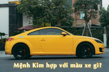 Mệnh Mộc và mệnh Thủy: Bí mật kinh ngạc về sức mạnh tương sinh ít người biết Mệnh Mộc và mệnh Thủy: Bí mật kinh ngạc về sức mạnh tương sinh ít người biết