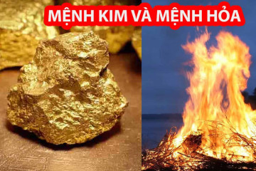 Hình xăm mệnh Thổ 2025: Màu sắc, biểu tượng và mẫu đẹp nhất Hình xăm mệnh Thổ 2025: Màu sắc, biểu tượng và mẫu đẹp nhất