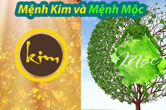 Mệnh Kim và mệnh Mộc: Giải mã phong thủy toàn diện cho tình yêu và sự nghiệp Mệnh Kim và mệnh Mộc: Giải mã phong thủy toàn diện cho tình yêu và sự nghiệp