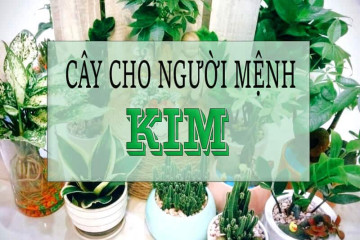 Mệnh Kim hợp số nào? Chọn đúng con số kích hoạt vận may, bình an Mệnh Kim hợp số nào? Chọn đúng con số kích hoạt vận may, bình an