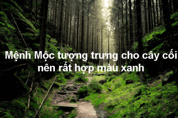 Mệnh Mộc hợp màu gì? Những màu sắc đem lại may mắn và tài lộc cho bản mệnh Mệnh Mộc hợp màu gì? Những màu sắc đem lại may mắn và tài lộc cho bản mệnh