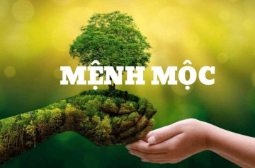 Mệnh Mộc sinh năm nào, hợp mệnh gì? Bí quyết chọn đối tác lý tưởng trong tình yêu và sự nghiệp Mệnh Mộc sinh năm nào, hợp mệnh gì? Bí quyết chọn đối tác lý tưởng trong tình yêu và sự nghiệp