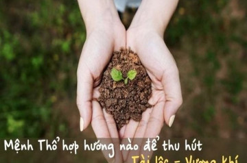 Mệnh Thổ hợp hướng nào? 4 hướng tốt nhất giúp tăng tài lộc và may mắn không ngờ Mệnh Thổ hợp hướng nào? 4 hướng tốt nhất giúp tăng tài lộc và may mắn không ngờ