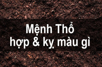 Mệnh Thổ hợp màu gì? Gợi ý màu sắc phong thủy mang lại may mắn 2025 Mệnh Thổ hợp màu gì? Gợi ý màu sắc phong thủy mang lại may mắn 2025