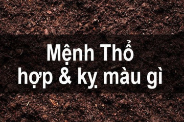 Mệnh Thổ hợp màu gì? Gợi ý màu sắc phong thủy mang lại may mắn 2025 Mệnh Thổ hợp màu gì? Gợi ý màu sắc phong thủy mang lại may mắn 2025