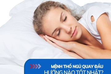 Gợi ý 8 hình nền may mắn cho người mệnh Mộc giúp thu hút tài lộc và cân bằng năng lượng Gợi ý 8 hình nền may mắn cho người mệnh Mộc giúp thu hút tài lộc và cân bằng năng lượng