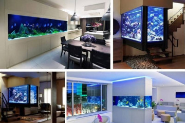 Mệnh Mộc và mệnh Thủy: Bí mật kinh ngạc về sức mạnh tương sinh ít người biết Mệnh Mộc và mệnh Thủy: Bí mật kinh ngạc về sức mạnh tương sinh ít người biết