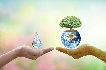 Mệnh thủy hợp cây gì – Top những loại cây khiến người mệnh Thủy phất lên như diều gặp gió Mệnh thủy hợp cây gì – Top những loại cây khiến người mệnh Thủy phất lên như diều gặp gió