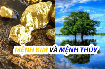 Mệnh Kim và mệnh Thủy: Cặp đôi hoàn hảo trong tình yêu, sự nghiệp và cuộc sống Mệnh Kim và mệnh Thủy: Cặp đôi hoàn hảo trong tình yêu, sự nghiệp và cuộc sống