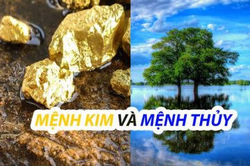 Hình xăm mệnh Thổ 2025: Màu sắc, biểu tượng và mẫu đẹp nhất Hình xăm mệnh Thổ 2025: Màu sắc, biểu tượng và mẫu đẹp nhất