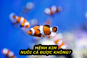Người mệnh Thổ nên đeo vàng hay bạc? Góc nhìn từ phong thủy và ngũ hành Người mệnh Thổ nên đeo vàng hay bạc? Góc nhìn từ phong thủy và ngũ hành
