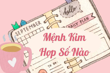 Mệnh Mộc và mệnh Thủy: Bí mật kinh ngạc về sức mạnh tương sinh ít người biết Mệnh Mộc và mệnh Thủy: Bí mật kinh ngạc về sức mạnh tương sinh ít người biết