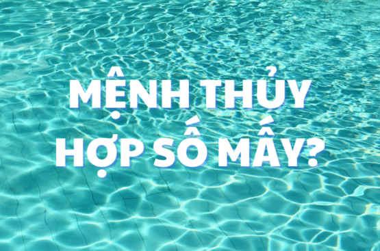 Mệnh Thủy hợp số nào? Bí quyết chọn số phong thủy cải thiện vận mệnh suốt đời Mệnh Thủy hợp số nào? Bí quyết chọn số phong thủy cải thiện vận mệnh suốt đời
