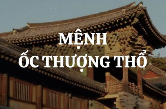 Ốc Thượng Thổ: Giải mã mệnh số & cách kích hoạt vận may theo phong thủy 2025 Ốc Thượng Thổ: Giải mã mệnh số & cách kích hoạt vận may theo phong thủy 2025