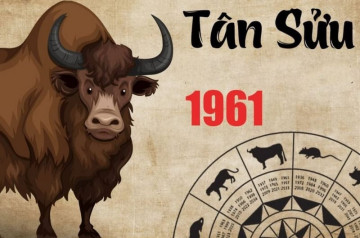 Sinh năm 1961 mệnh gì? Tính cách, tử vi trọn đời, phong thuỷ toàn diện của tuổi Tân Sửu Sinh năm 1961 mệnh gì? Tính cách, tử vi trọn đời, phong thuỷ toàn diện của tuổi Tân Sửu
