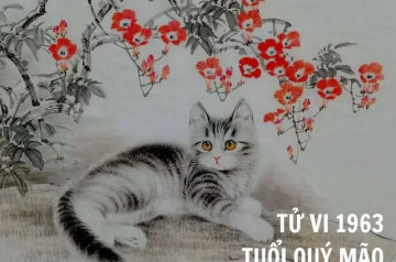 Sinh năm 1963 mệnh gì? Tổng quan Quý Mão, tử vi trọn đời, phong thủy màu sắc, tuổi tương hợp tuổi Sinh năm 1963 mệnh gì? Tổng quan Quý Mão, tử vi trọn đời, phong thủy màu sắc, tuổi tương hợp tuổi
