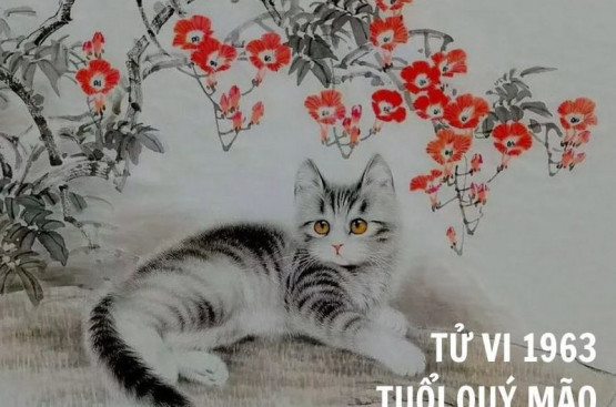 Sinh năm 1963 mệnh gì? Tổng quan Quý Mão, tử vi trọn đời, phong thủy màu sắc, tuổi tương hợp tuổi Sinh năm 1963 mệnh gì? Tổng quan Quý Mão, tử vi trọn đời, phong thủy màu sắc, tuổi tương hợp tuổi