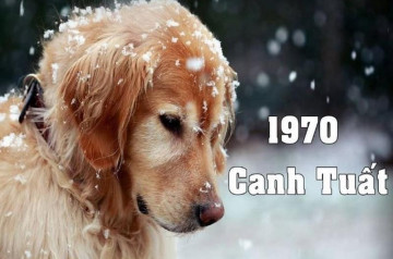 Sinh năm 1970 mệnh gì? Tính cách, vận mệnh, màu sắc tương hợp, vật phẩm phong thủy hợp Canh Tuất Sinh năm 1970 mệnh gì? Tính cách, vận mệnh, màu sắc tương hợp, vật phẩm phong thủy hợp Canh Tuất