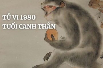 Sinh năm 1980 mệnh gì? Đặc điểm tính cách, màu sắc và hướng hợp, nghề nghiệp phù hợp Sinh năm 1980 mệnh gì? Đặc điểm tính cách, màu sắc và hướng hợp, nghề nghiệp phù hợp