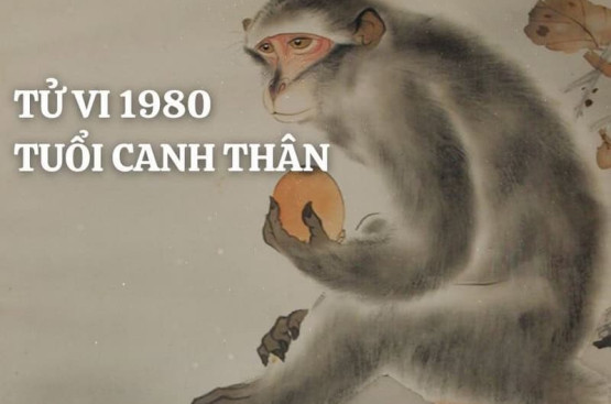 Sinh năm 1980 mệnh gì? Đặc điểm tính cách, màu sắc và hướng hợp, nghề nghiệp phù hợp Sinh năm 1980 mệnh gì? Đặc điểm tính cách, màu sắc và hướng hợp, nghề nghiệp phù hợp