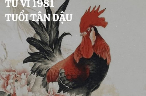 Sinh năm 1981 mệnh gì? Đặc điểm tính cách, vận mệnh Tân Dậu, phong thủy màu sắc và năm hạn Sinh năm 1981 mệnh gì? Đặc điểm tính cách, vận mệnh Tân Dậu, phong thủy màu sắc và năm hạn