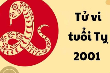 2001 mệnh gì, tuổi con gì? Tất tần tật về người sinh năm Tân Tỵ 2001 mệnh gì, tuổi con gì? Tất tần tật về người sinh năm Tân Tỵ