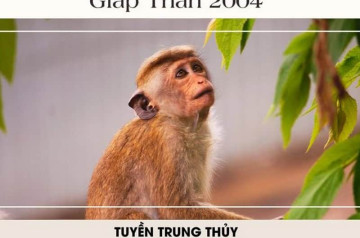 Sinh năm 2004 mệnh gì? Tính cách vận mệnh, tử vi trọn đời, phong thủy hợp mệnh, trắc trở cuộc sống Sinh năm 2004 mệnh gì? Tính cách vận mệnh, tử vi trọn đời, phong thủy hợp mệnh, trắc trở cuộc sống