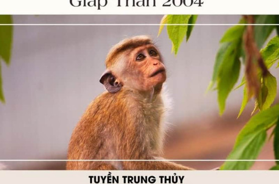 Sinh năm 2004 mệnh gì? Tính cách vận mệnh, tử vi trọn đời, phong thủy hợp mệnh, trắc trở cuộc sống Sinh năm 2004 mệnh gì? Tính cách vận mệnh, tử vi trọn đời, phong thủy hợp mệnh, trắc trở cuộc sống
