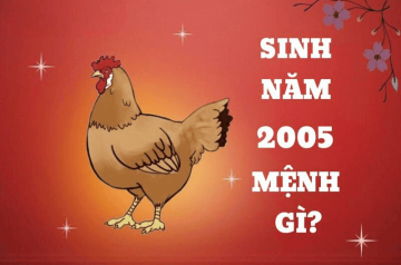Sinh năm 2005 mệnh gì? Tính cách, vận mệnh, màu sắc, đá phong thủy tương hợp để làm ăn phát đạt Sinh năm 2005 mệnh gì? Tính cách, vận mệnh, màu sắc, đá phong thủy tương hợp để làm ăn phát đạt