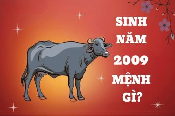 Sinh năm 1965 mệnh gì? Khám phá bản mệnh, Tuổi hợp, Hướng tốt mang đến nhiều tài lộc Sinh năm 1965 mệnh gì? Khám phá bản mệnh, Tuổi hợp, Hướng tốt mang đến nhiều tài lộc