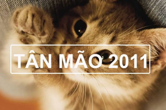 Sinh năm 2011 mệnh gì? Thông tin ngũ hành, màu sắc phong thủy, tương hợp tuổi, vận hạn Sinh năm 2011 mệnh gì? Thông tin ngũ hành, màu sắc phong thủy, tương hợp tuổi, vận hạn